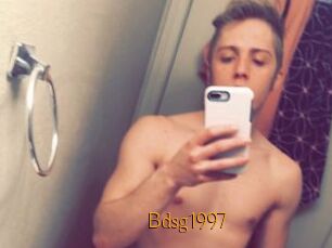 Bdsg1997