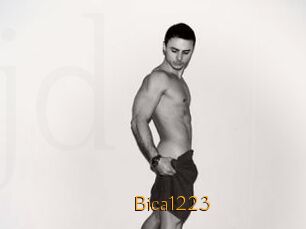 Bica1223