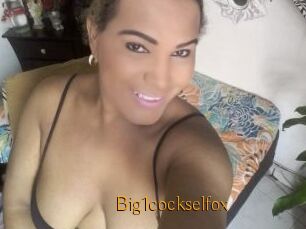 Big1cockselfox