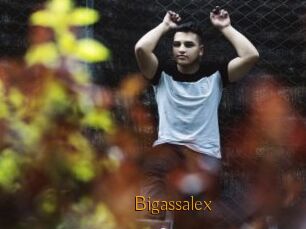 Bigassalex
