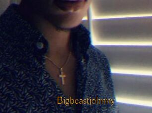 Bigbeastjohnny