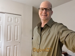 Bigbird27