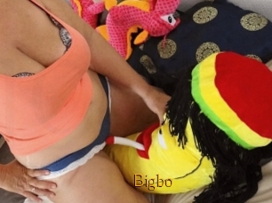 Bigbo