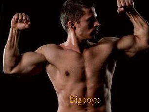 Bigboyx