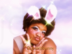 Bigcinnabunny