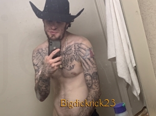 Bigdickrick23