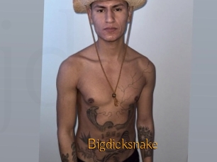 Bigdicksnake
