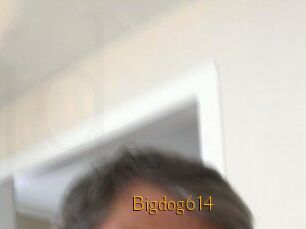 Bigdog614