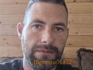 Bigrooster76872