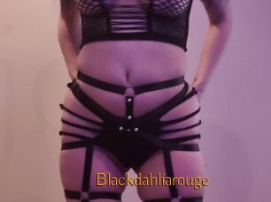 Blackdahliarouge