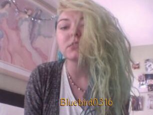 Bluebird0316