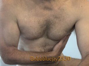 Bobbbluejay2530