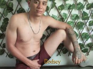 Bodsey