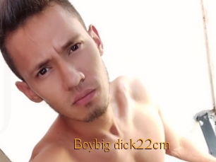Boybig_dick22cm