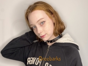 Breebarks