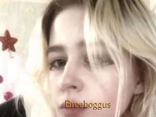Breeboggus