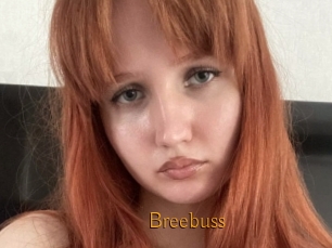 Breebuss