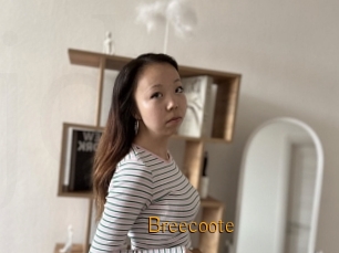Breecoote