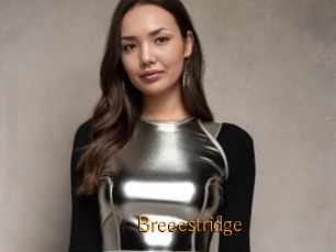 Breeestridge
