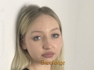 Breefudge