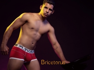 Bricetorus