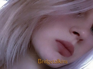 Bridgetalkins
