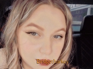 Bridgetharkey