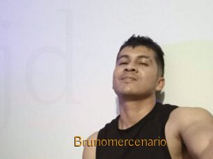 Brunomercenario