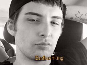 Budkushking