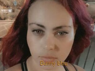 Bunny_bleu