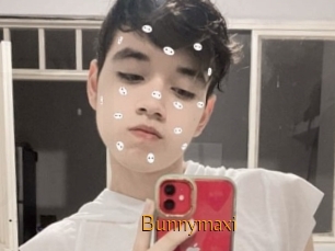 Bunnymaxi