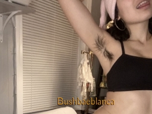 Bushbaeblanca