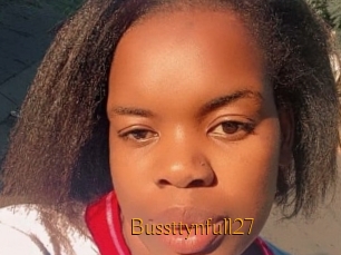 Bussttynfull27