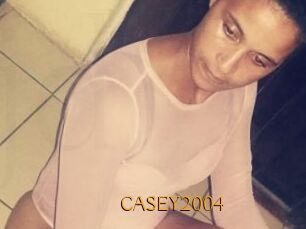 CASEY2004