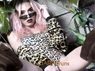 CIARABruns