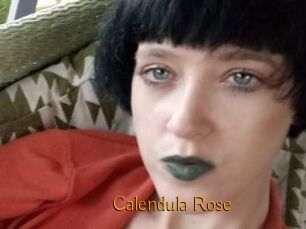 Calendula_Rose
