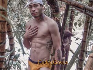 CedricGovea