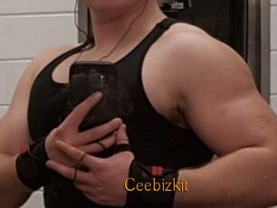 Ceebizkit