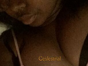 Ceslestrial