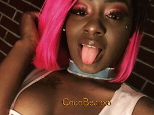 CocoBeanxo