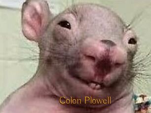 Colon_Plowell