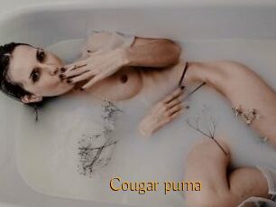 Cougar_puma