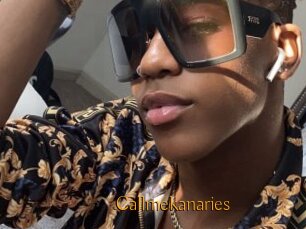 Callmekanaries