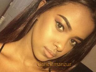 Canelamanzur