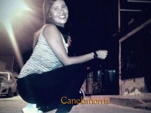 Canelamorris