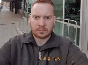 Cangingie
