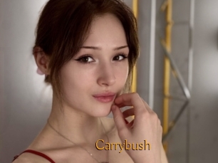 Carrybush