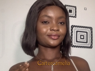 Cartercamelia