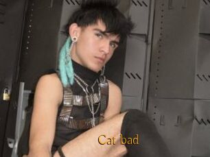 Cat_bad