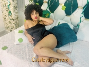 Cataleyaguerrero